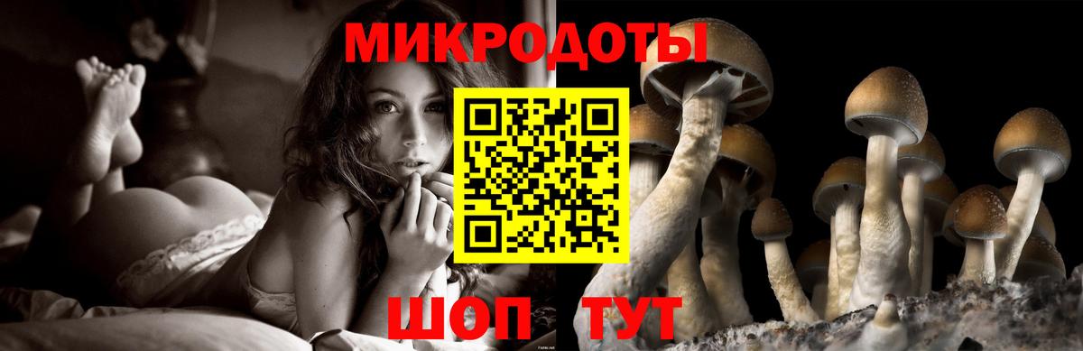 Галлюциногенные грибы ЛСД Горно-Алтайск